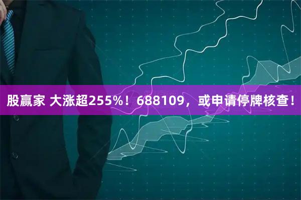 股赢家 大涨超255%！688109，或申请停牌核查！